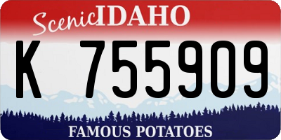ID license plate K755909