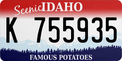ID license plate K755935