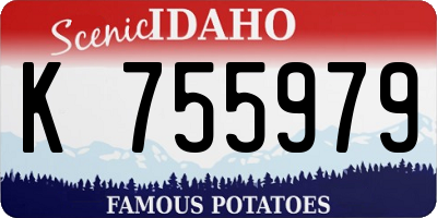 ID license plate K755979