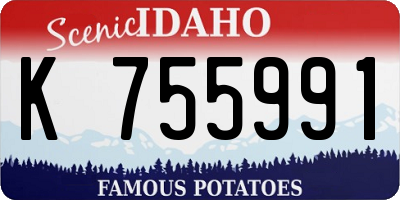 ID license plate K755991