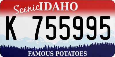 ID license plate K755995