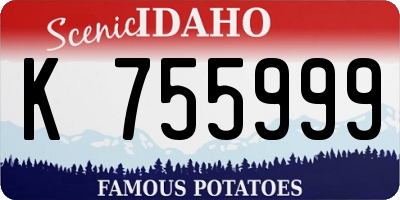 ID license plate K755999
