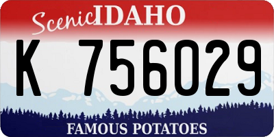 ID license plate K756029
