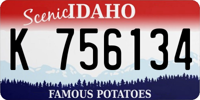 ID license plate K756134