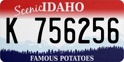 ID license plate K756256
