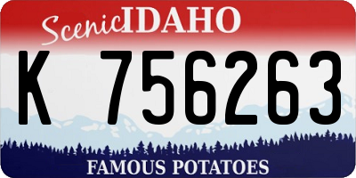 ID license plate K756263