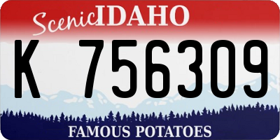 ID license plate K756309