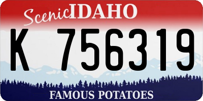 ID license plate K756319