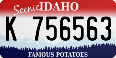 ID license plate K756563