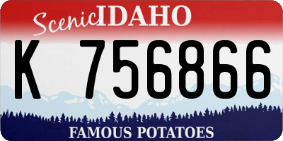 ID license plate K756866