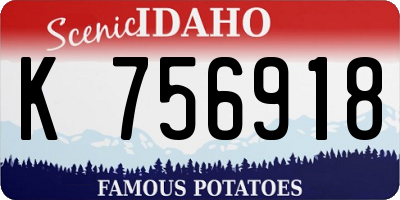 ID license plate K756918