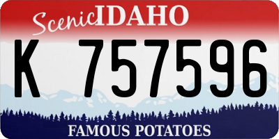 ID license plate K757596