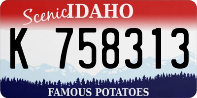 ID license plate K758313