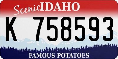 ID license plate K758593