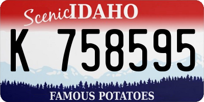 ID license plate K758595