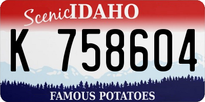 ID license plate K758604