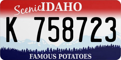 ID license plate K758723