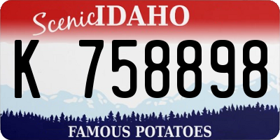 ID license plate K758898