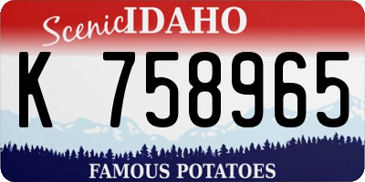 ID license plate K758965