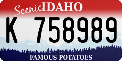 ID license plate K758989