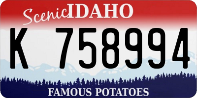 ID license plate K758994