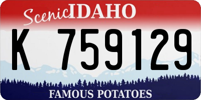 ID license plate K759129