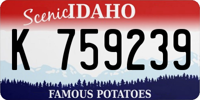 ID license plate K759239