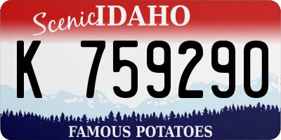 ID license plate K759290
