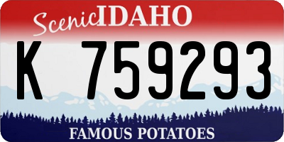 ID license plate K759293