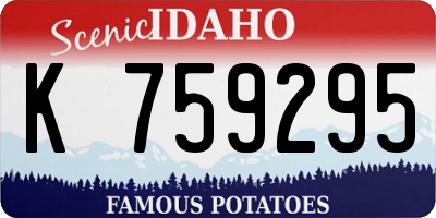ID license plate K759295