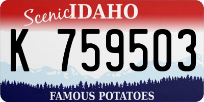 ID license plate K759503