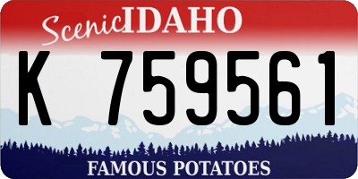 ID license plate K759561