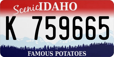 ID license plate K759665