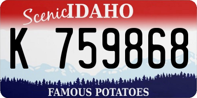 ID license plate K759868