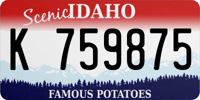 ID license plate K759875