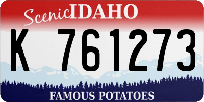 ID license plate K761273