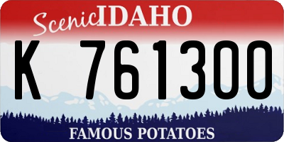 ID license plate K761300