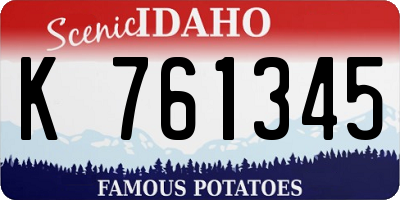 ID license plate K761345