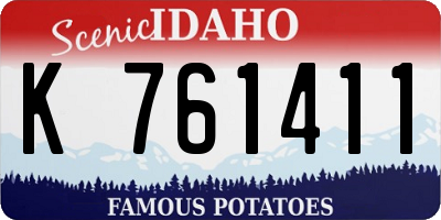 ID license plate K761411