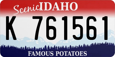 ID license plate K761561