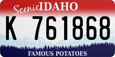 ID license plate K761868