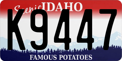 ID license plate K9447