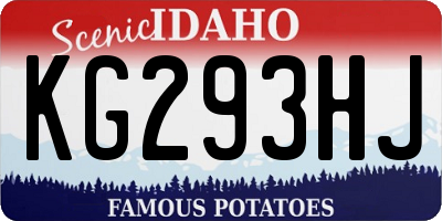 ID license plate KG293HJ