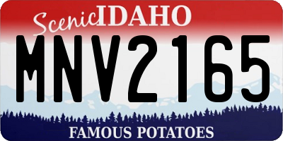 ID license plate MNV2165