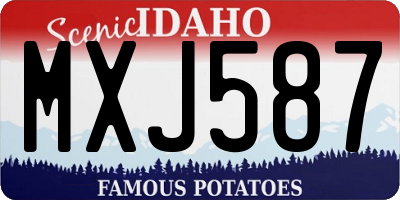 ID license plate MXJ587