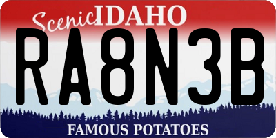 ID license plate RA8N3B