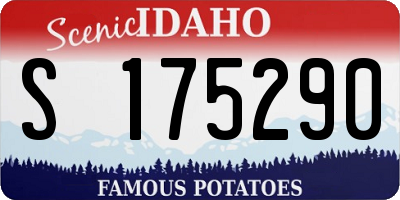 ID license plate S175290
