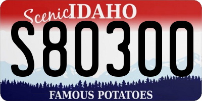 ID license plate S80300