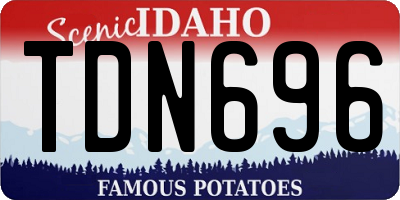 ID license plate TDN696