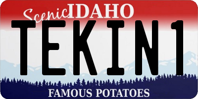 ID license plate TEKIN1